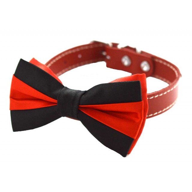 Papion catei negru c0004